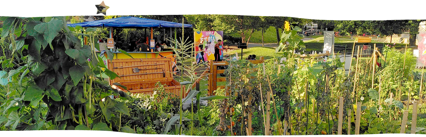 potager_sous_letoile
